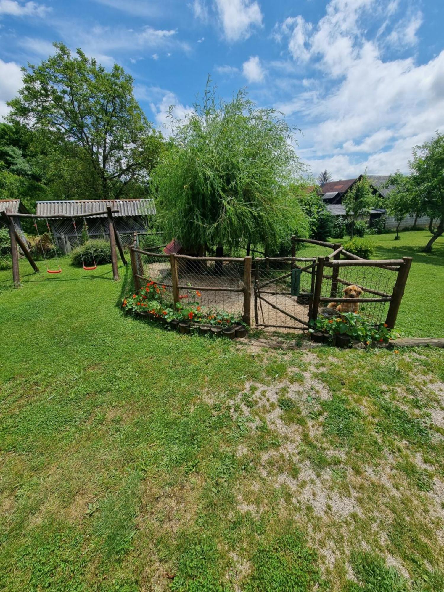 Luka * Rakovica