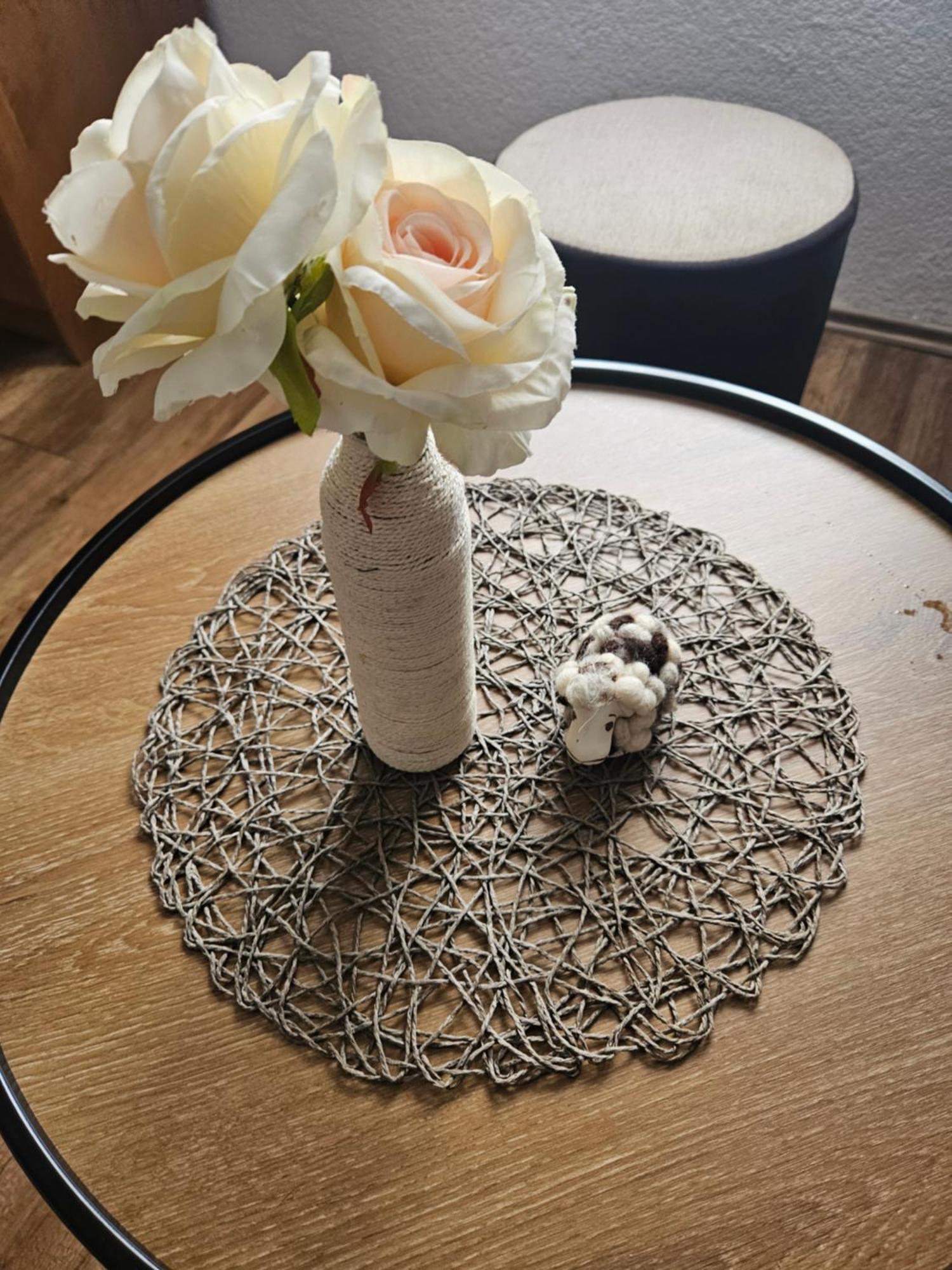 Apartament Luka Rakovica