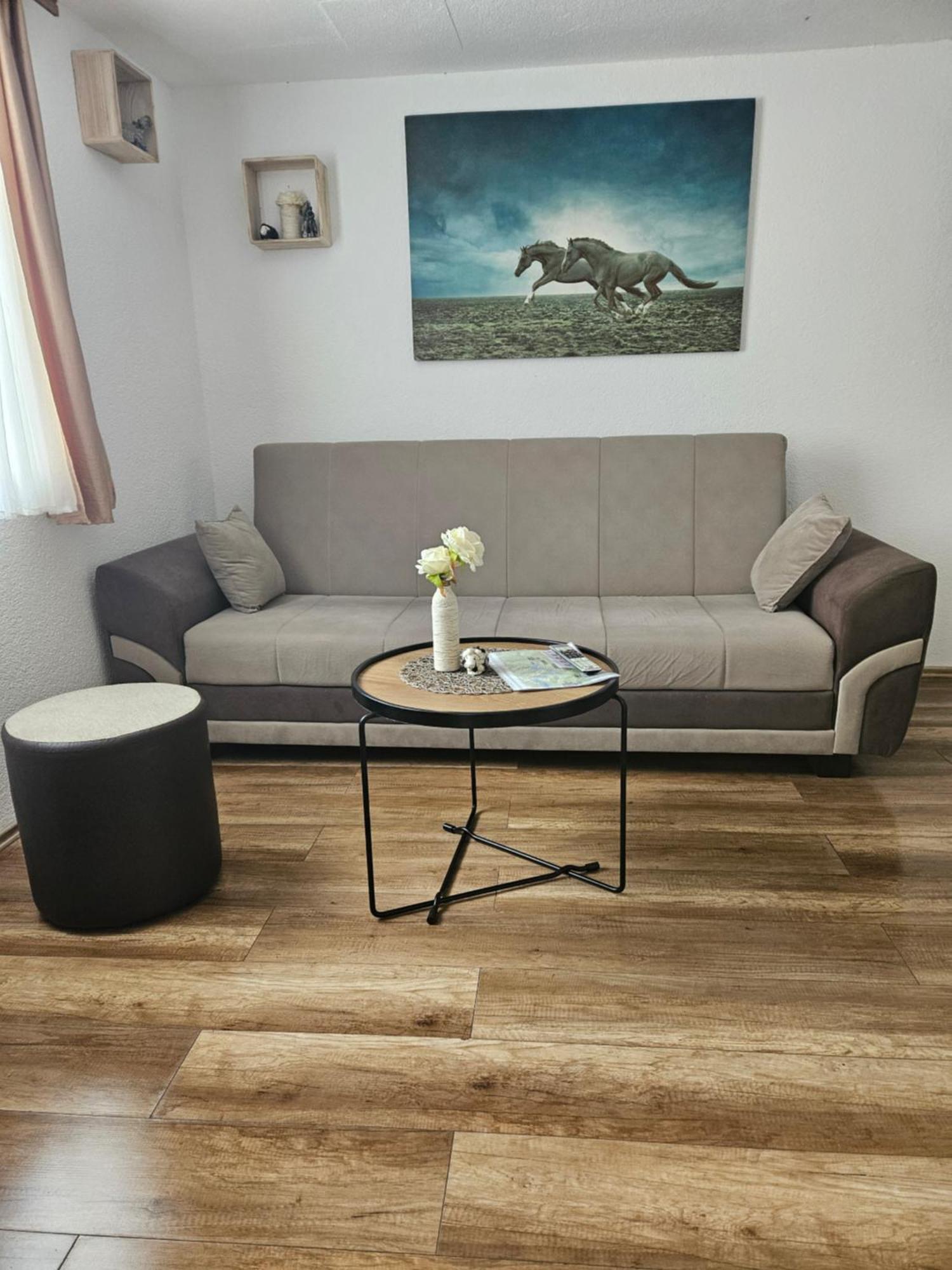 Luka Apartament Rakovica