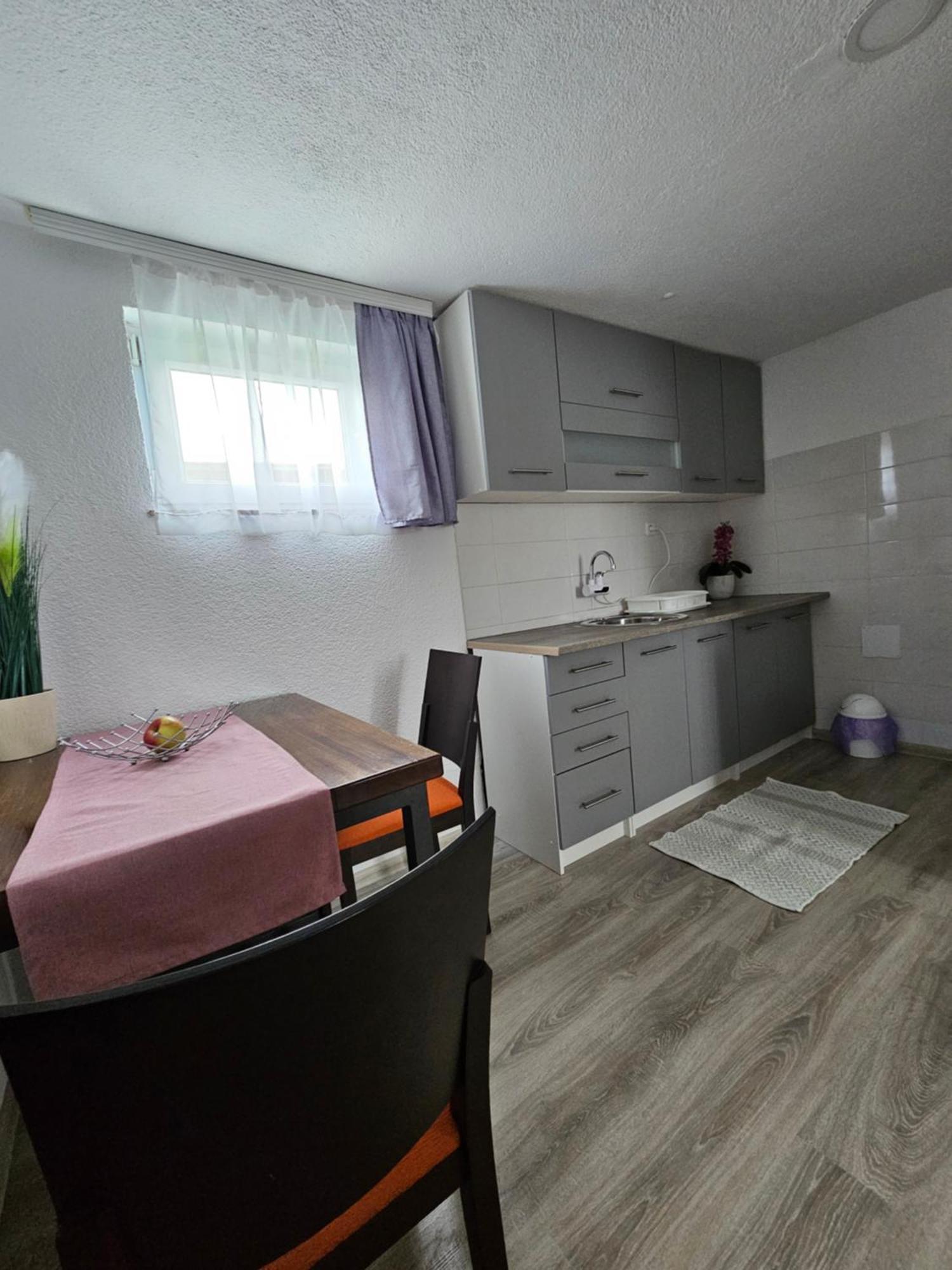 Luka Apartment Rakovica